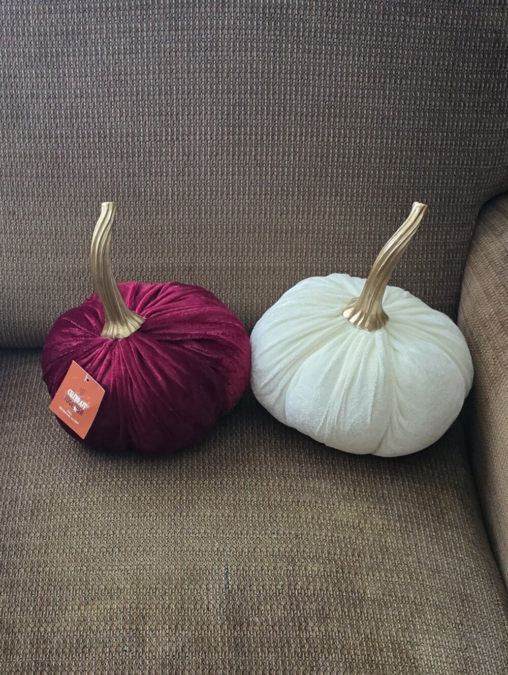 NWT Celebrate Together Round Velvet Throw Pillows Cream/Wine Decorative Cushions